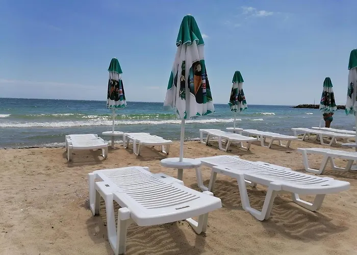 Belisima 204 B Ravda